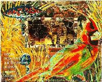JPEG photo 17k